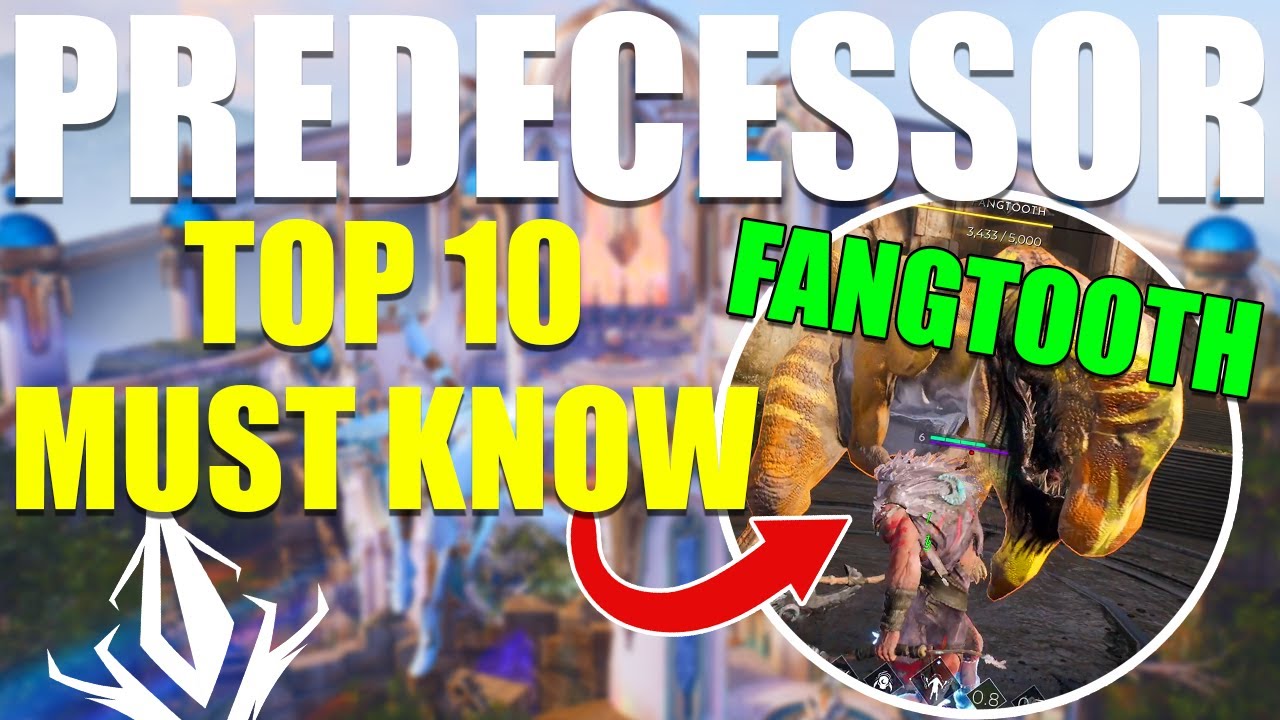 Top 10 Things You NEED To Know! (Predecessor: Early Access)