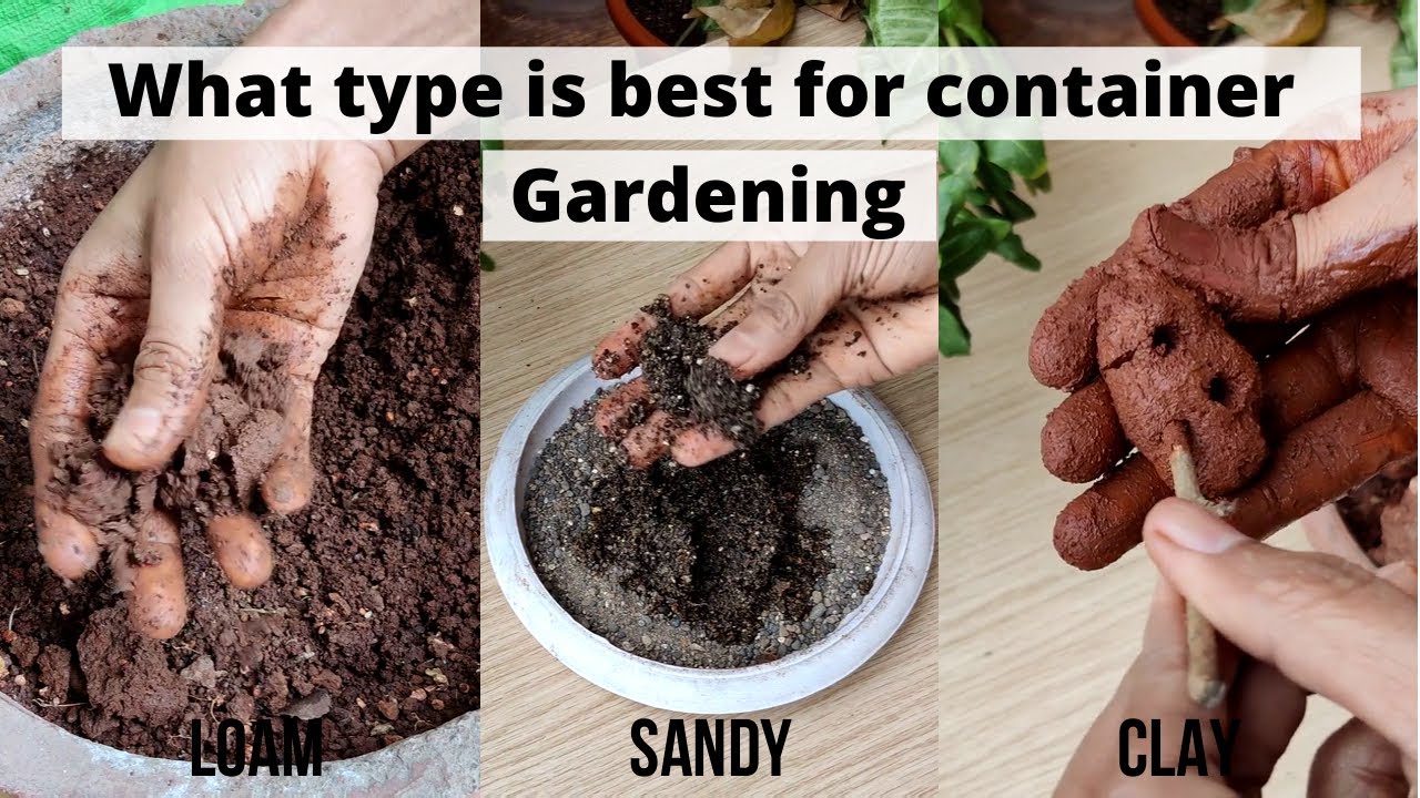 What type of soil is best for container gardening| Ideal potting mix for container gardening