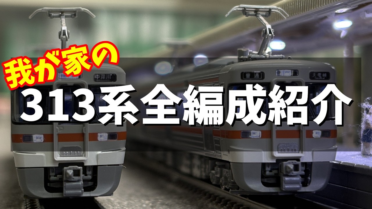 【313系の日】3/13日記念！我が家の313系全車を走らせながら紹介する！