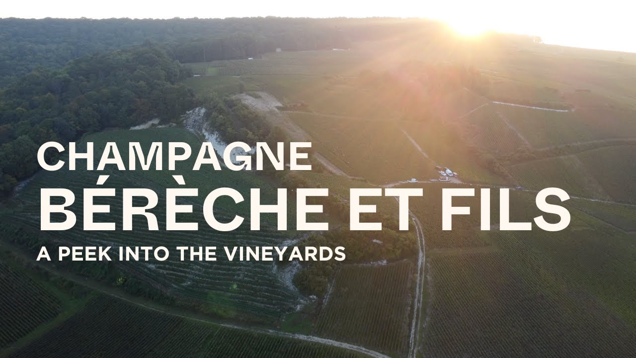 Champagne Bérèche et Fils | Montagne de Reims, Champagne 🇫🇷