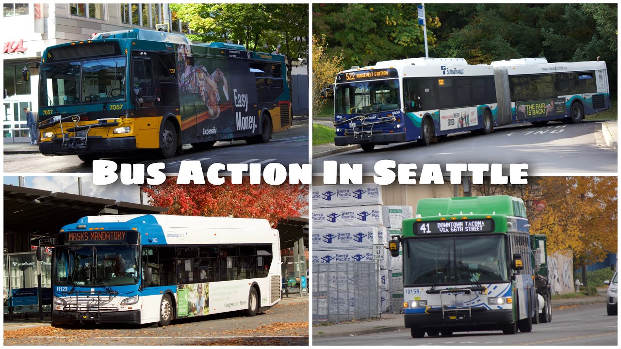 Bus Action In Seattle (October 2021)