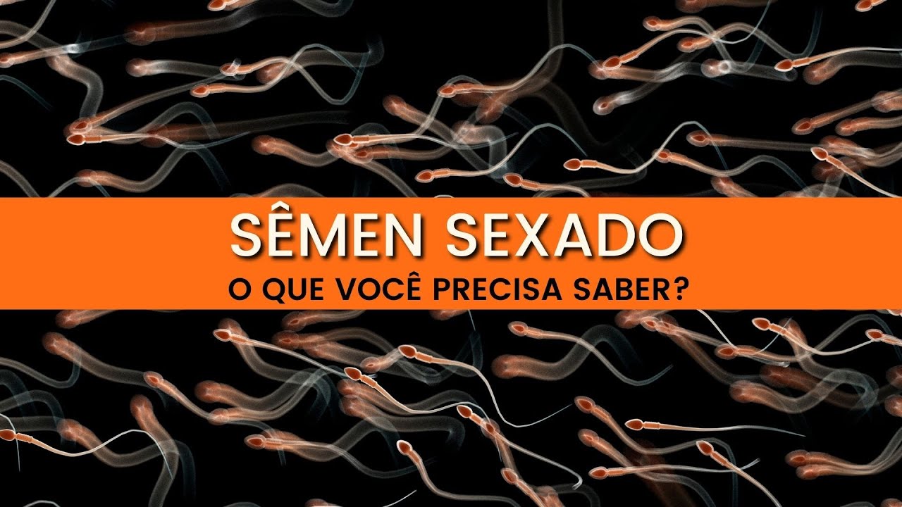 #29 SÊMEN SEXADO - O QUE VOCÊ PRECISA SABER