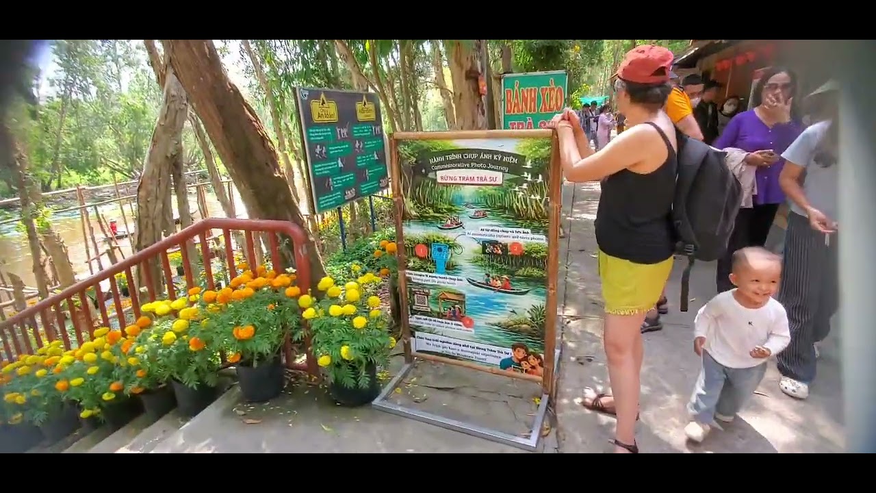 Rừng chàm trà sư trị tôn 