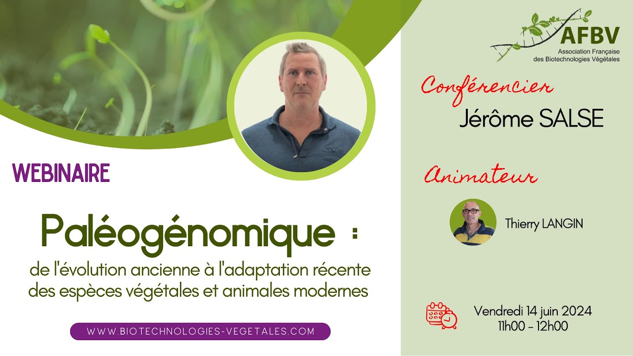 AFBV Webinaire #10 - 2024 : La Paléogénomique