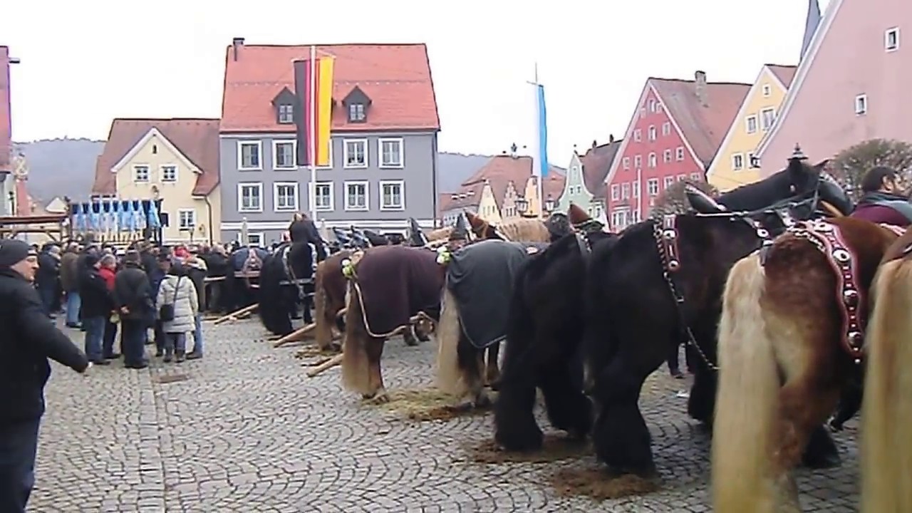 Berchinger Rossmarkt 2017