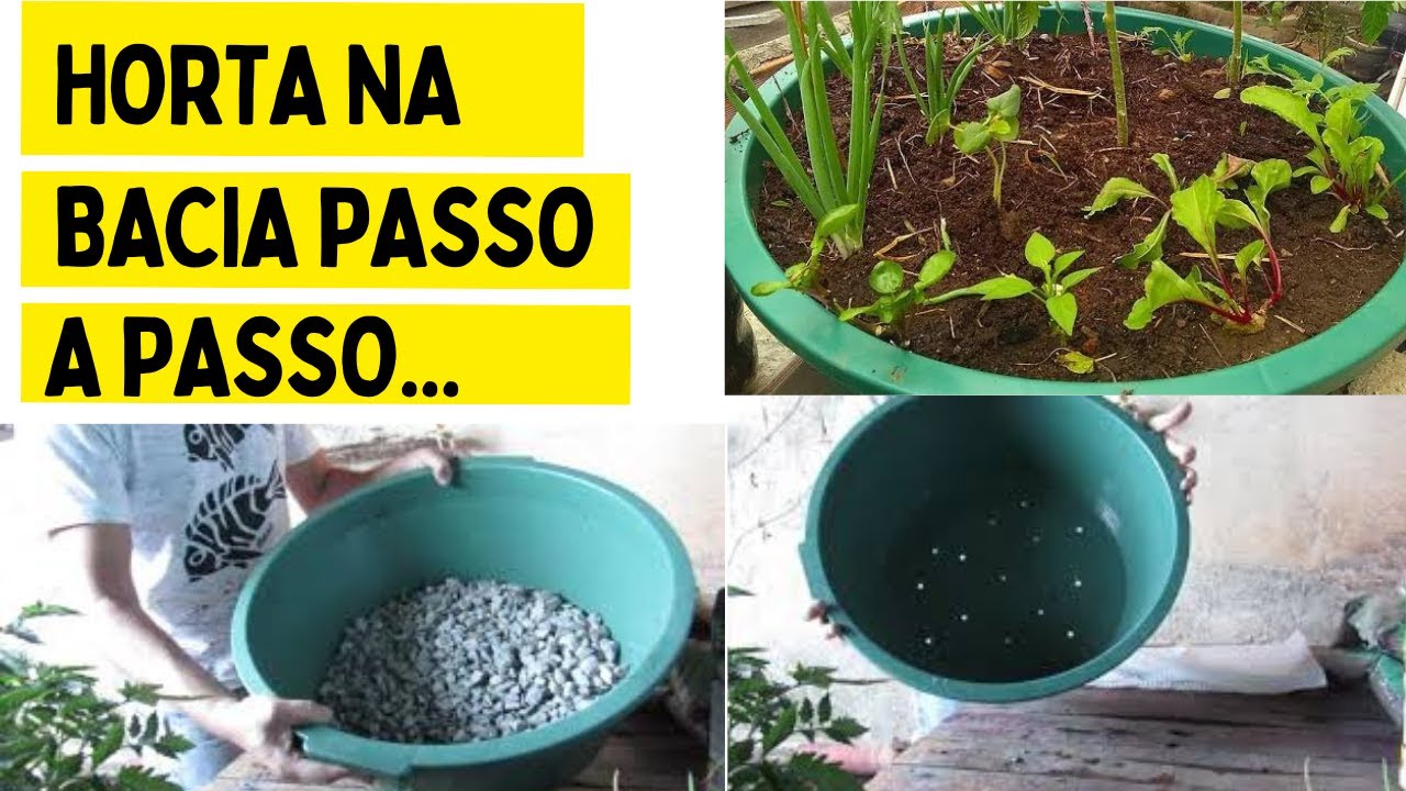 Horta na Bacia| Como faze? Horta em pequeno espaço na sua casa