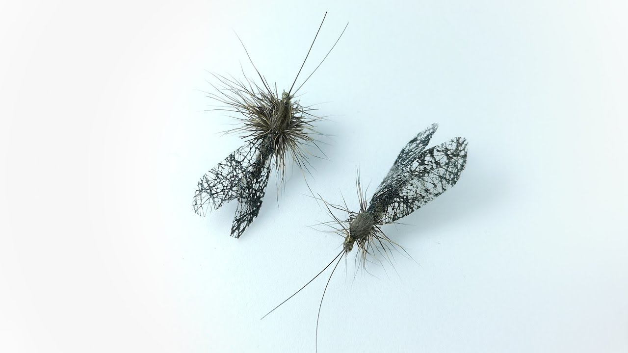 Black wings Sedge fly tying