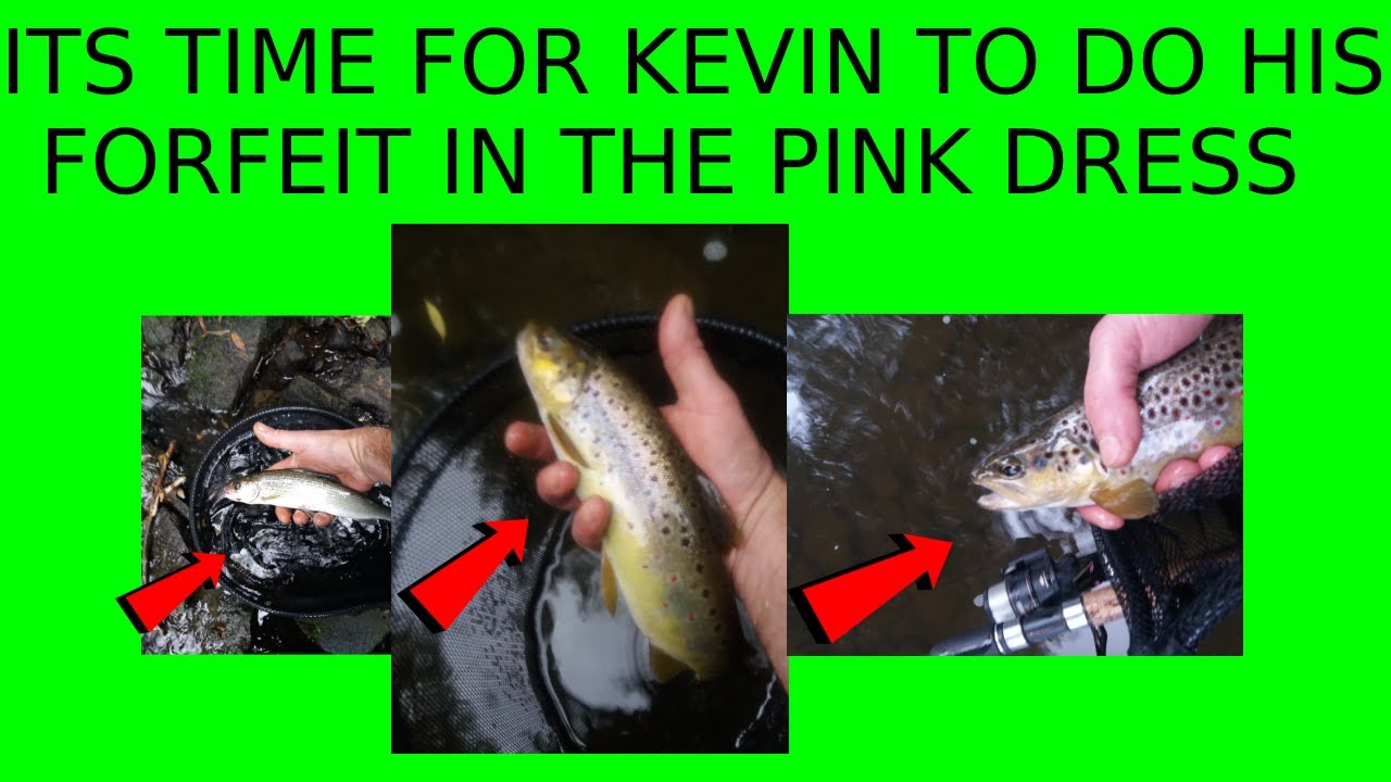 AMAZING STICK FLOAT FISHING  THE RIVER DEARNE multi species  #newbeginingsfishing #fishing #nature