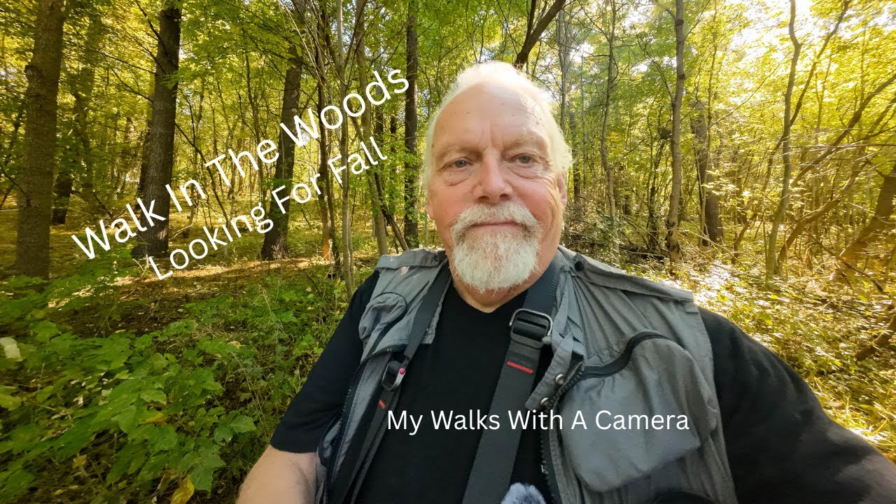 Looking For Fall