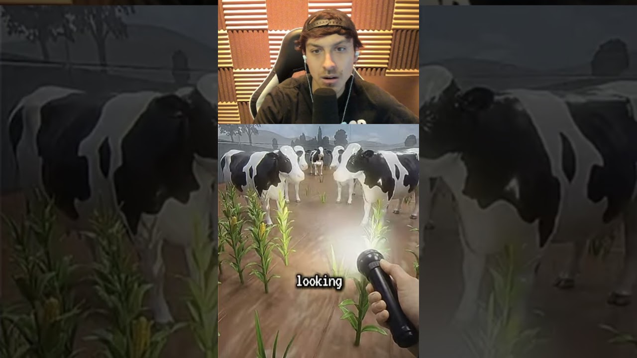 THEY ARE NOT REAL...