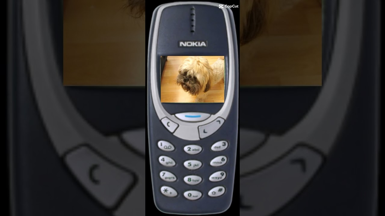 Dzwoni telefon