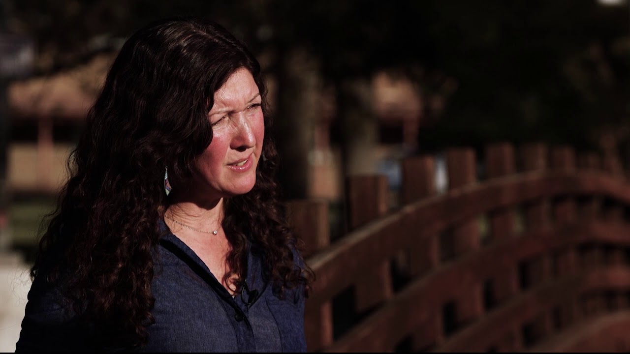 Growing bison herd impacts the Grand Canyon's ecosystem | Cronkite News