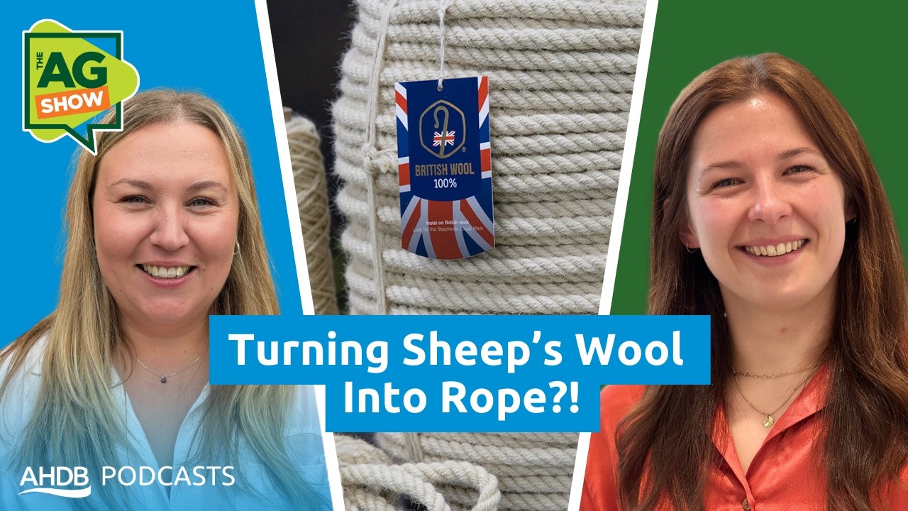 Wool Reimagined, Pork Promotion & Beef Markets Explained: This Week’s Farming Stories | The Ag Show
