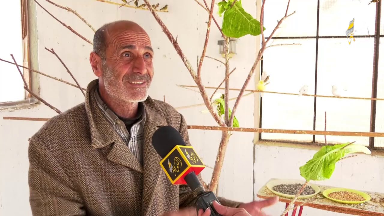سعد أبو هاني.. مسن فلسطيني يدرب طائر الحسون على اللهجة الفلسطينية