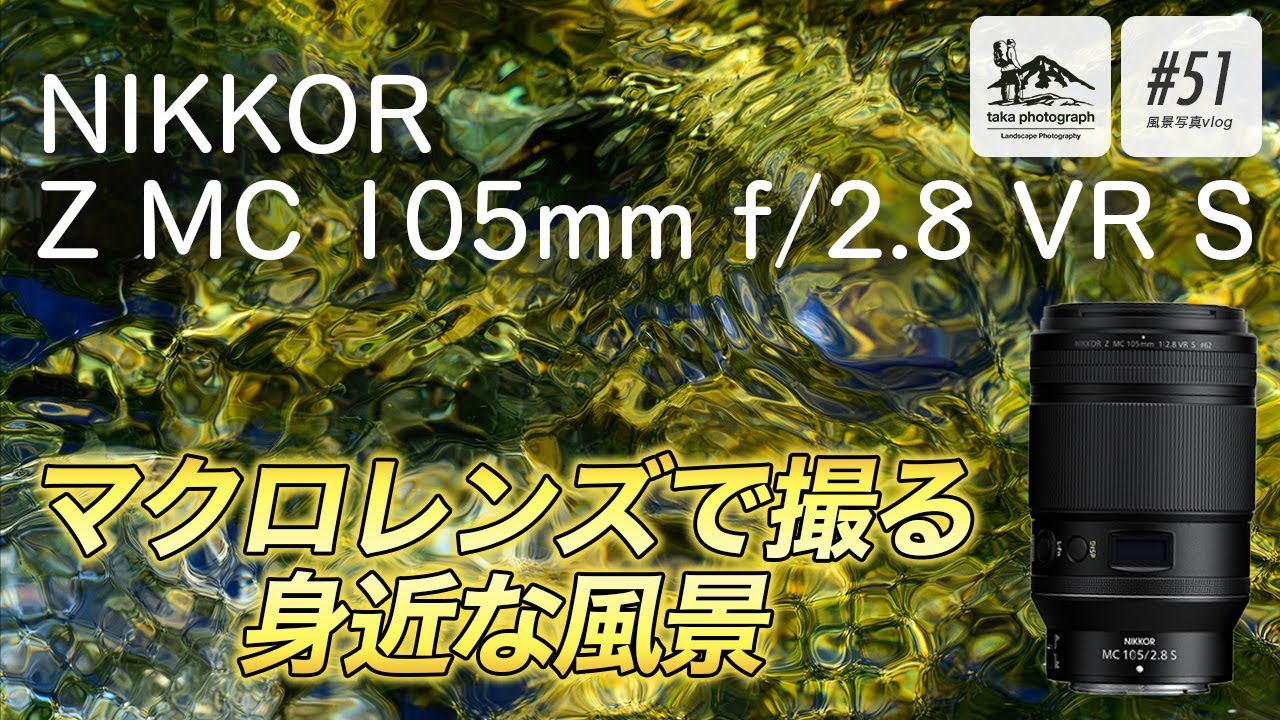 【最強マクロレンズ】NIKKOR Z MC 105mm f/2.8 VR S レンズを使ってみました！作例あり