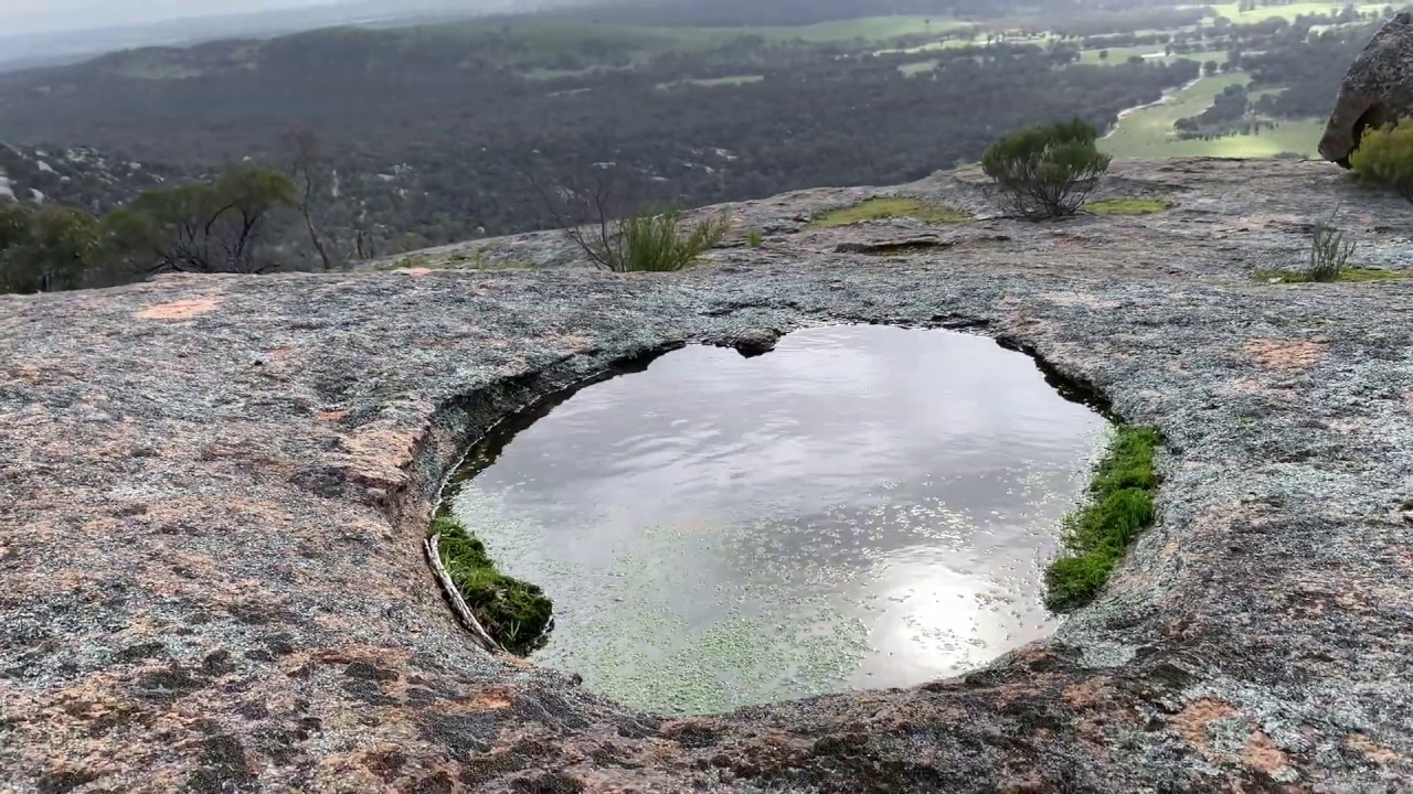 Aboriginal watering hole 360&deg;, Kooyoora State Park