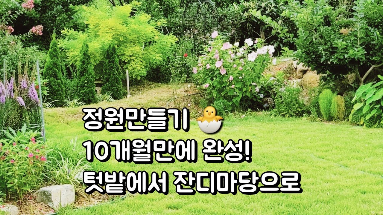 남편과 함께 마당 정원 꾸미기를 셀프로 디자인 해 나가고 있습니다 #정원꾸미기 #정원가꾸기 #정원만들기