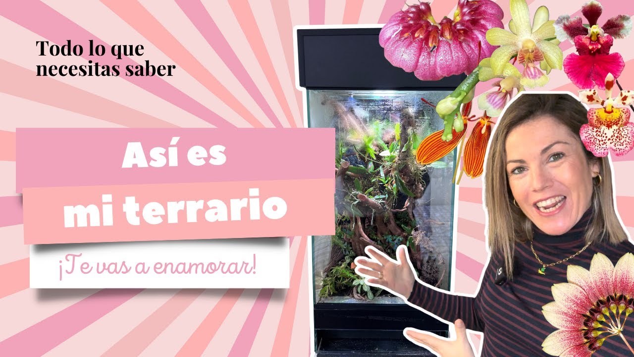 ¿Quieres un terrario? 😍 ¡Te cuento cómo es el mío y cómo se cuida!