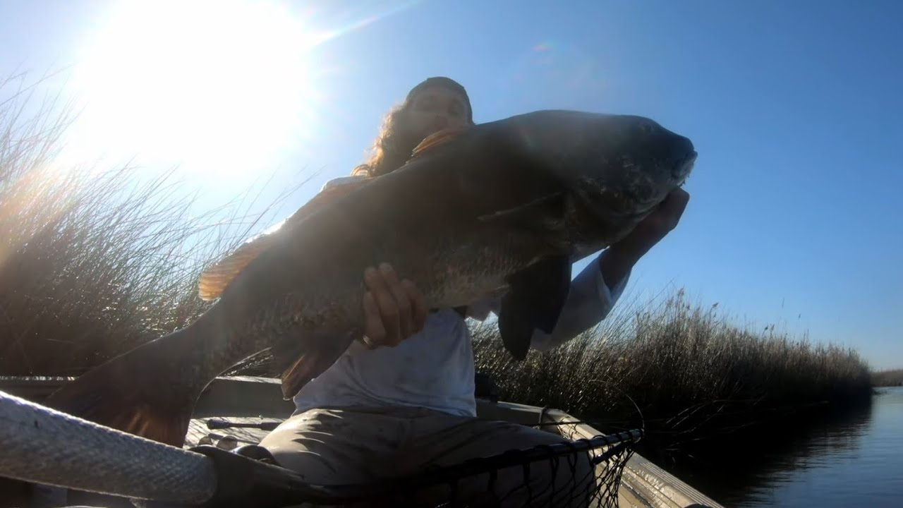 Unbelievable redfish action!++  I catch a giant!