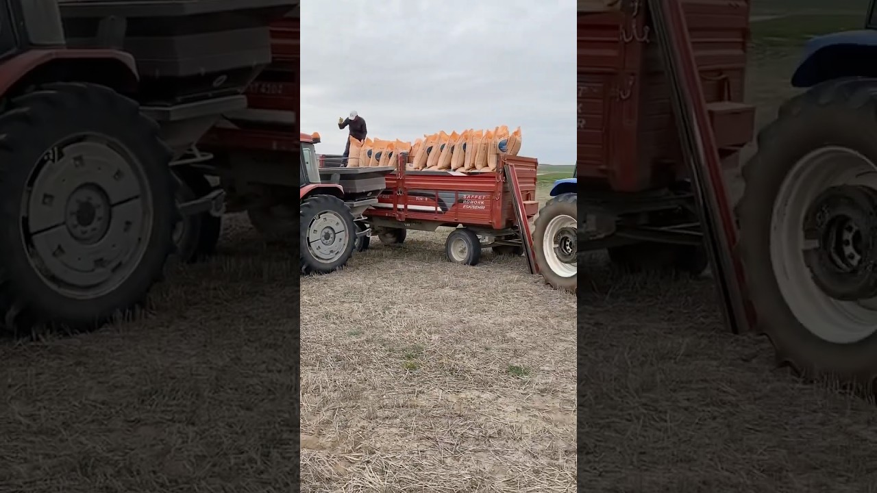 Tm 130 newholland mf 3085 ekermak 1200x22