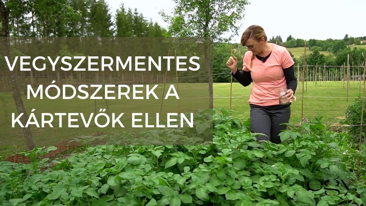 Borbás Marcsi: Kertem - Vegyszermentes módszerek a kártevők ellen (12. rész)