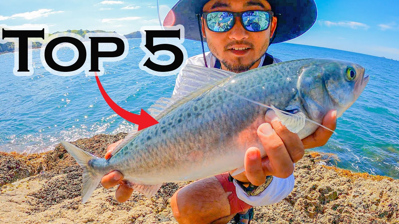I Ate This Easy To Catch Fish and WOW!