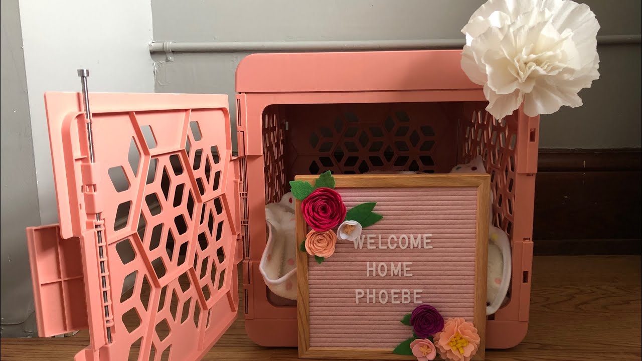 PREPARING FOR YORKIE PUPPY | KINDTAIL CRATE UNBOXING | SLEEP AREA | BOUGIE PUPS #yorkie #kindtail