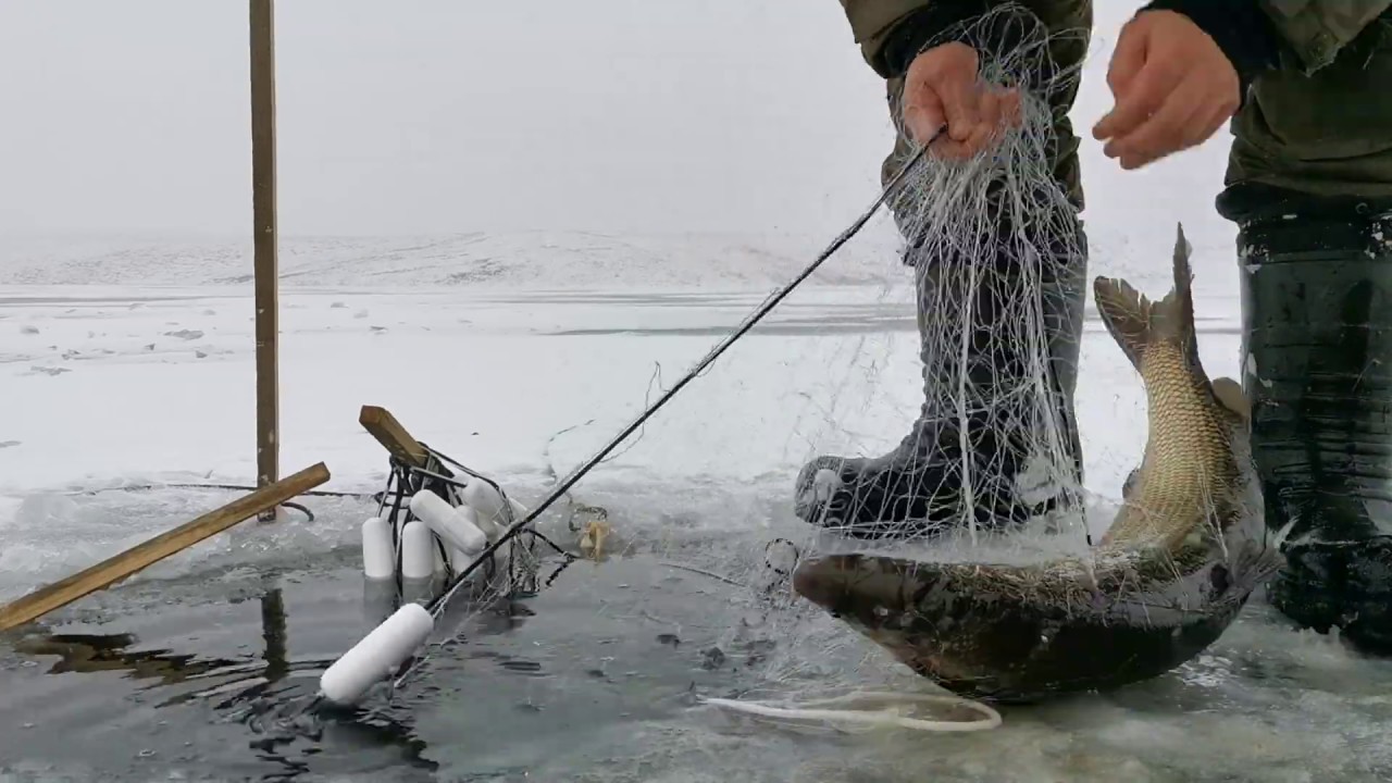 Ставим сеть на чира