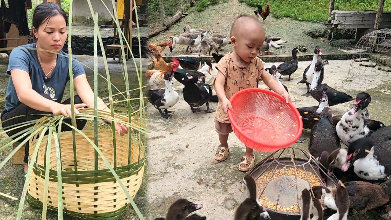 How to weave bamboo cages to catch ducks and sell them at the market to pay for Bao's tuition