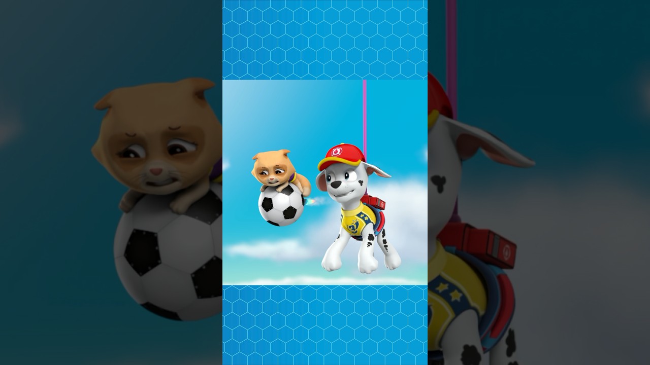 Marshall buckles up for an air rescue with Skye! #PAWPatrol