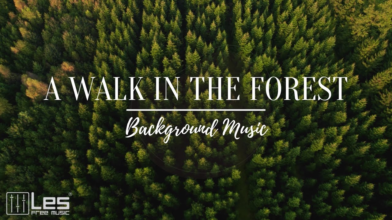 A walk in the forest : Acoustic Solo Guitar Sentimental Emotional Background Music