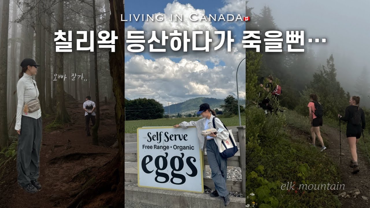 캐나다 브이로그, J가 계획한 등산 데이트 완전 망했쟈냐요..근데 완벽한 동선의 칠리왁 당일치기 여행임! , 귀여운 오가닉 계란 무인샵, 칠리왁 맥주 부루잉 펍 ,Elk 산