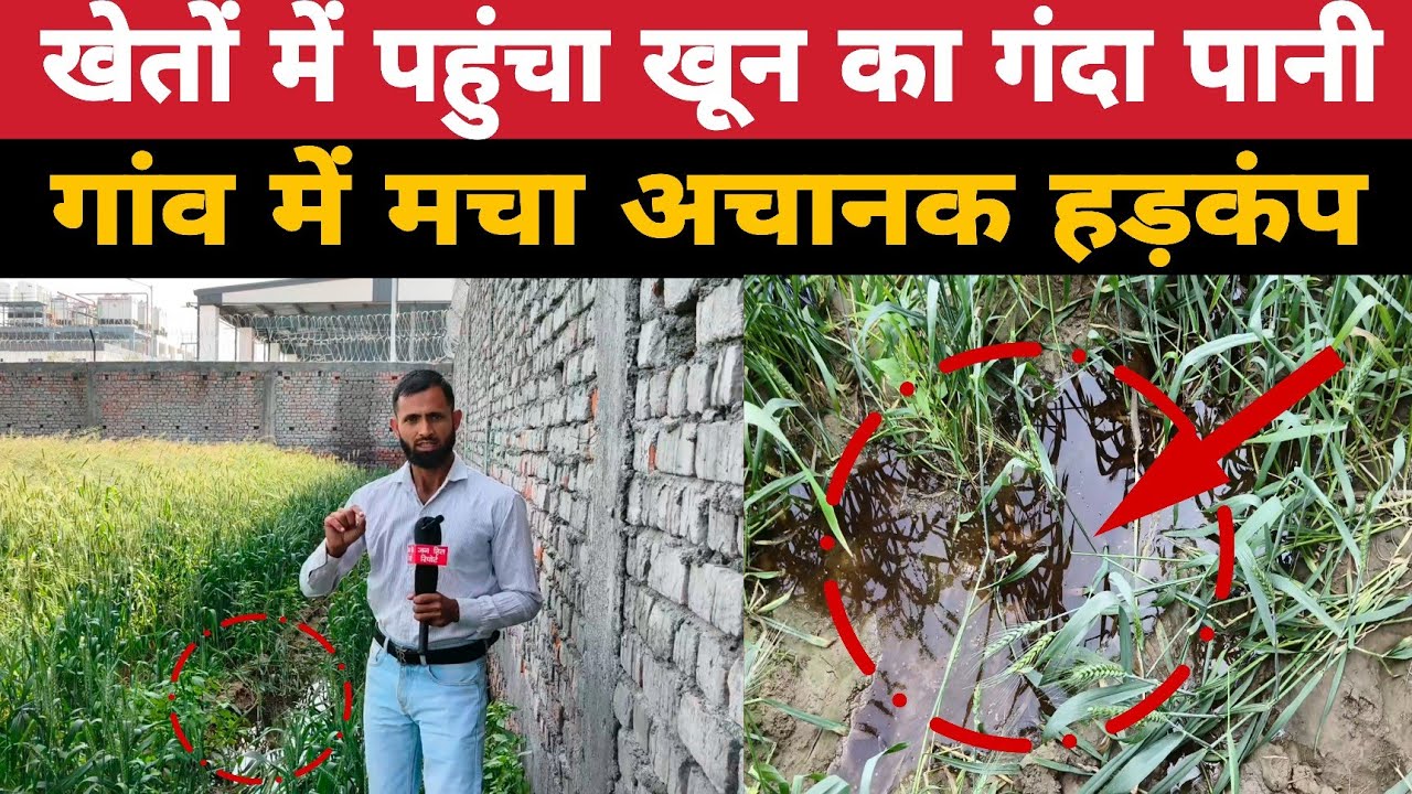खेतों में पहुंचा खून का पानी,, ग्रामीण हुए इकठ्ठे मचा हड़कंप #Education #Saulghter_house #Gramin 