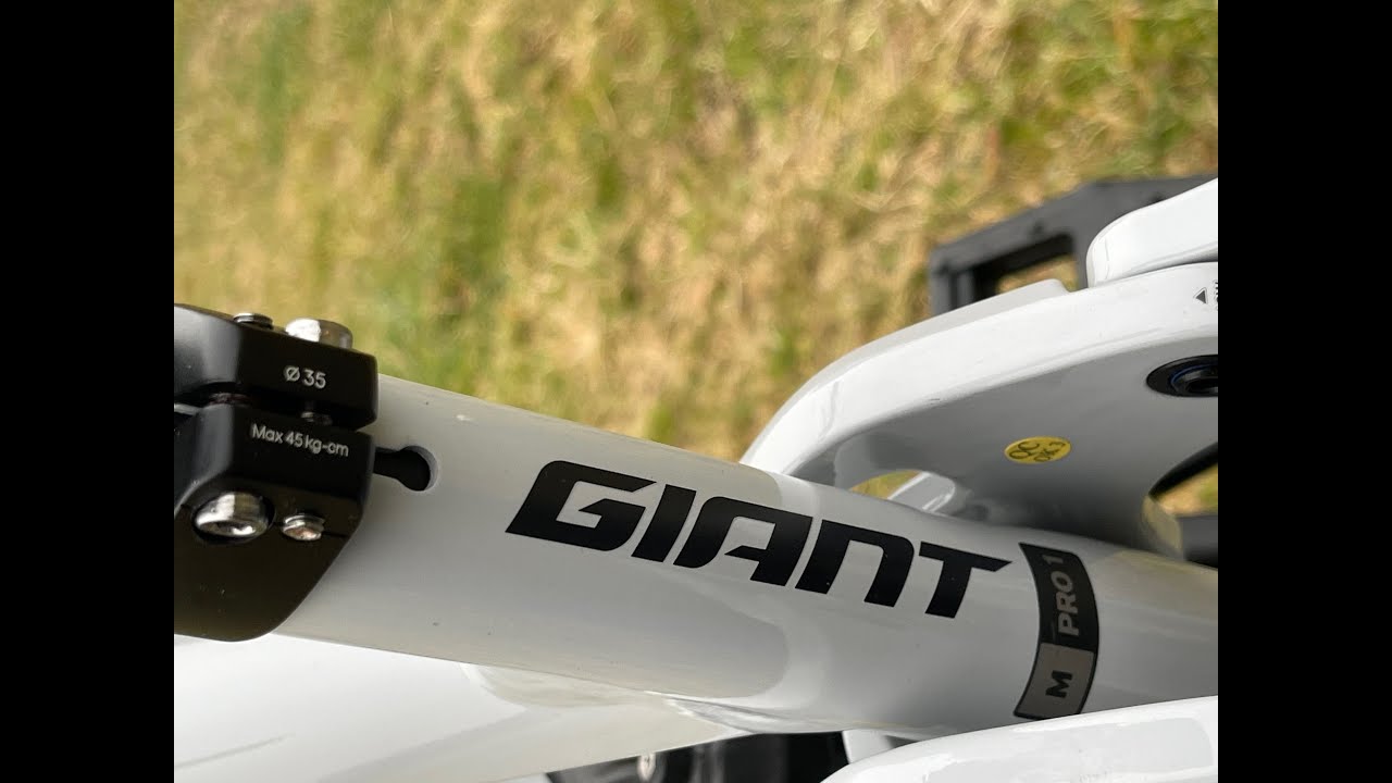Giant reign e+1 pro 2022