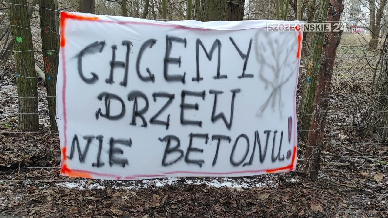 Ruszyła wycinka drzew na ul.  Przygodnej