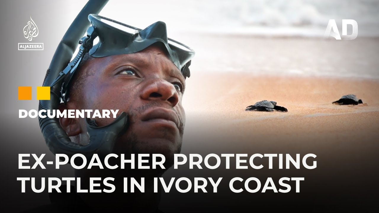 From poacher to protector: A turtle guard in Ivory Coast | Africa Direct Documentary