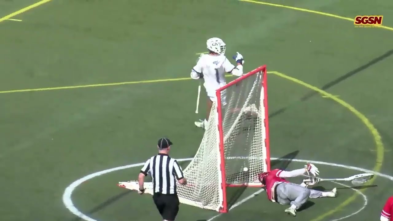 CNU v Dickinson Elite 8 Game Highlights
