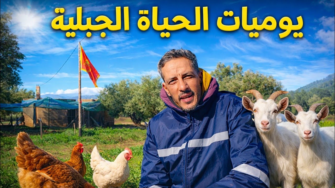 يوميات الحياة الجبلية | تهيئة حظيرة الدجاج و الماعز | نقش الارض على الثوم و الفول و كل المزروعات 🌱🌿