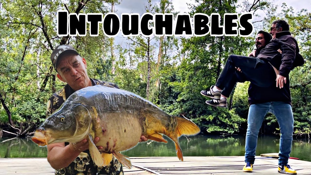 40 heures en petite rivière sauvage, j’explose mon record de carpe miroir 😱. Merci François Cluzet 🙏