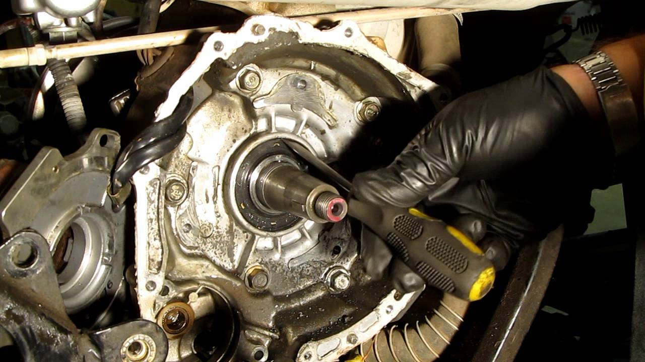 Replace the Crankshaft Seals on your ATV