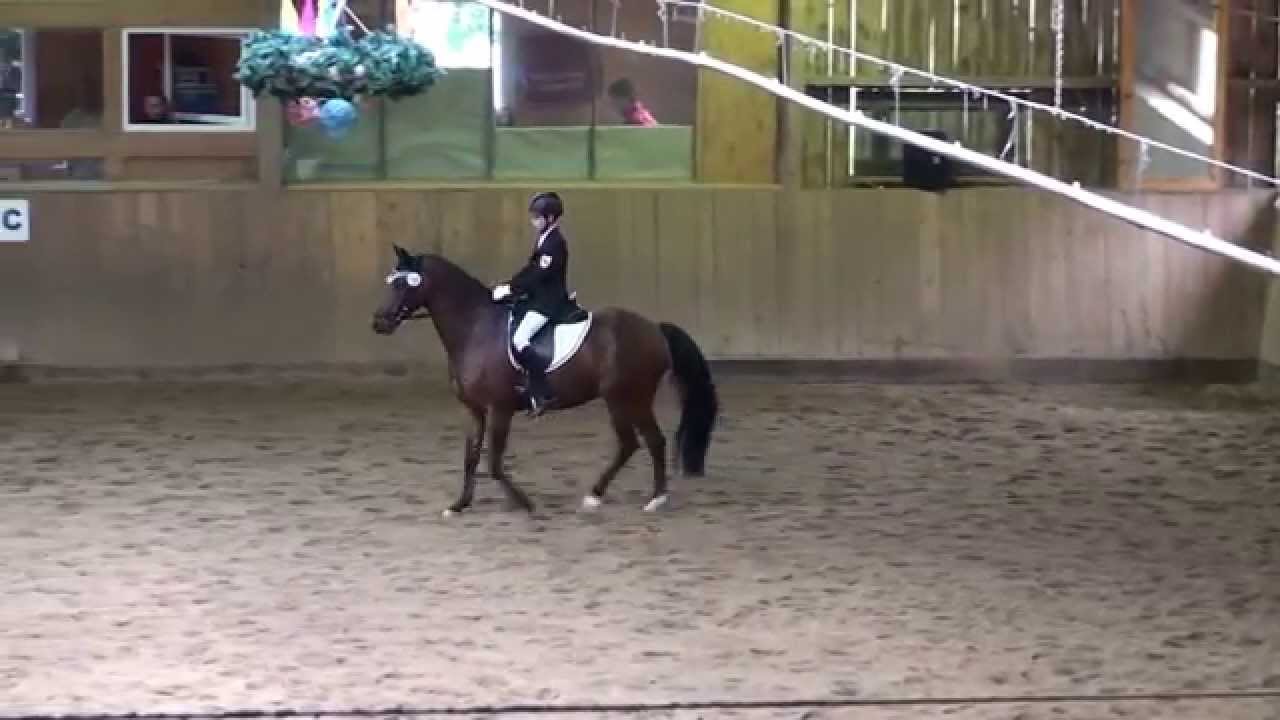 1. Platz, L-Dressur (L7), Landesponyturnier Überlingen 2015