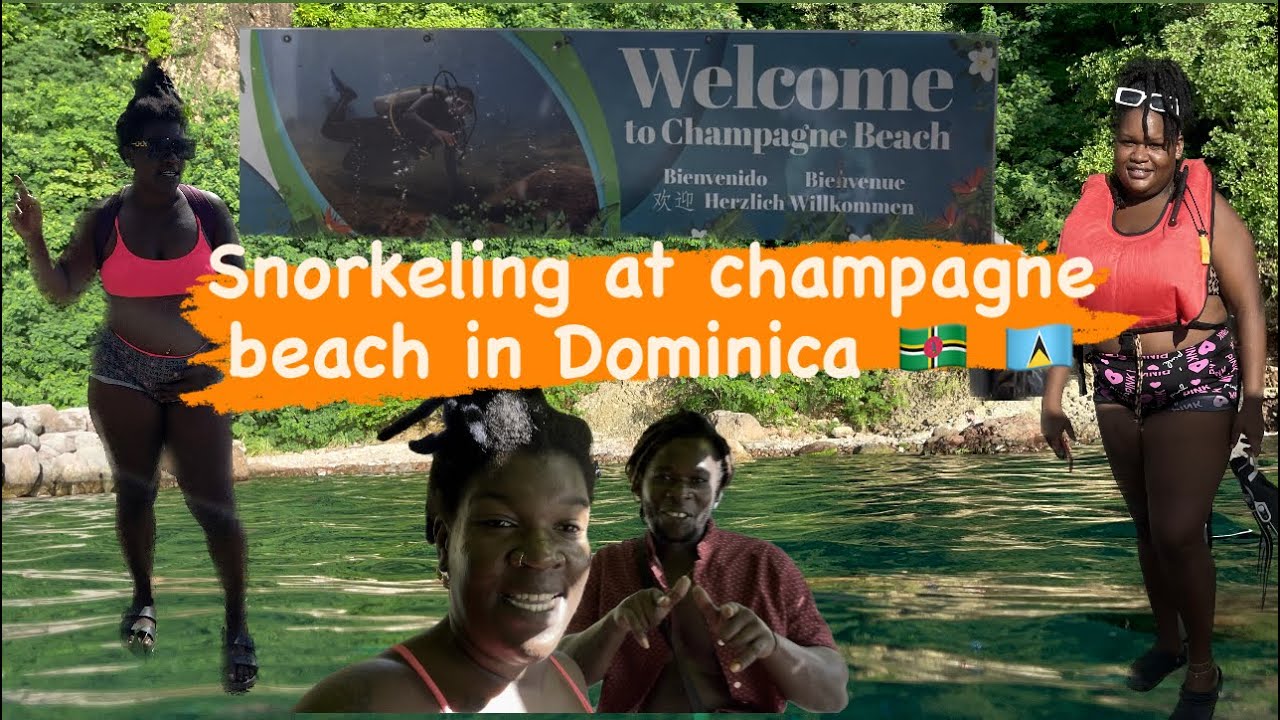 Snorkeling at champagne beach Dominica 🇩🇲