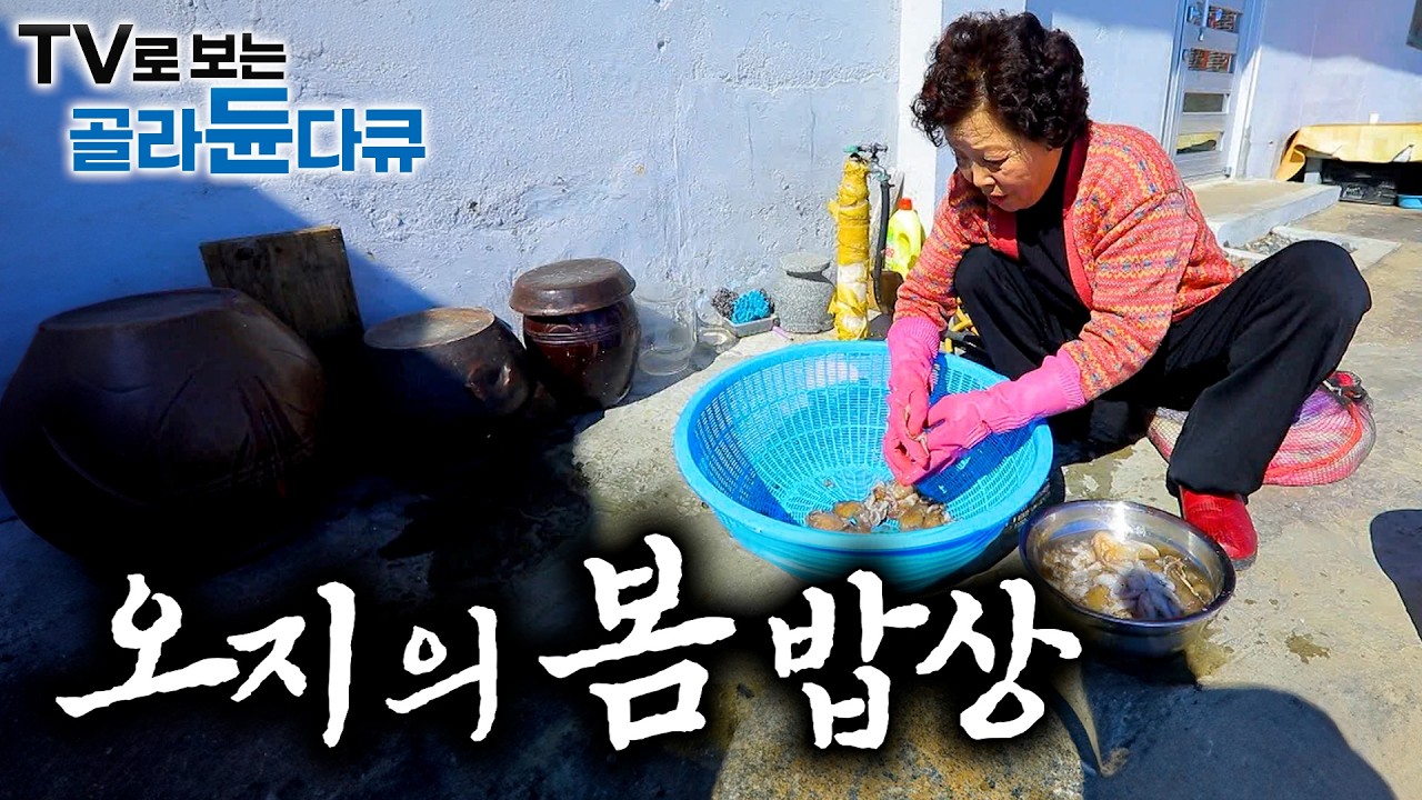 🌿싱싱한 봄 제철 음식만 모아 차린 푸짐한 한 상. 맛과 건강 모두 챙긴 오지의 봄 한 상🌿｜주꾸미부터 쑥까지 오지의 밥상 1시간 몰아보기｜한국기행｜#tv로보는골라듄다큐