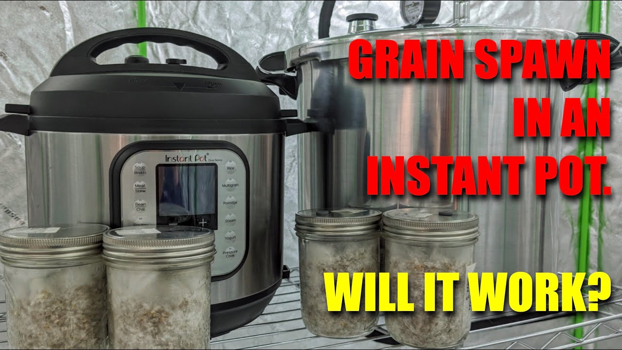 Grain Spawn in the Instant Pot? I did an experiment to find out if it'll work