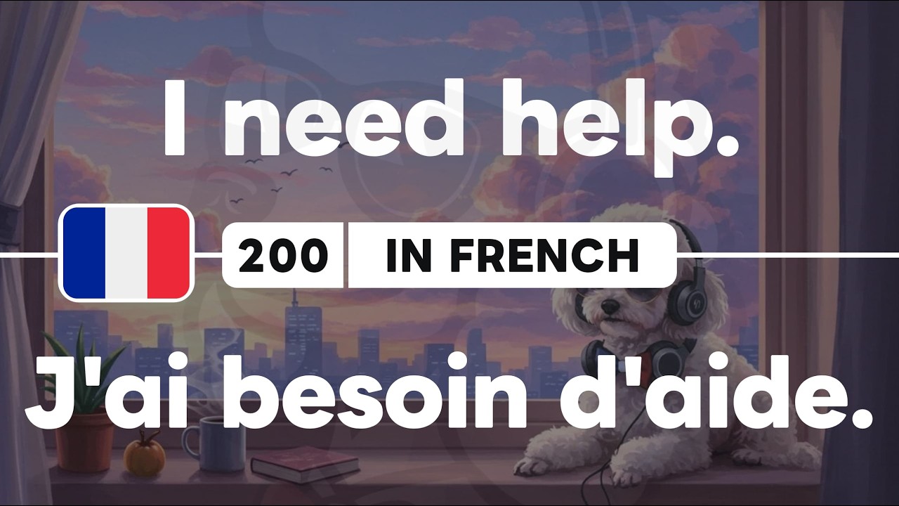 🇫🇷 200 French Phrases 28 Patterns for Beginners 