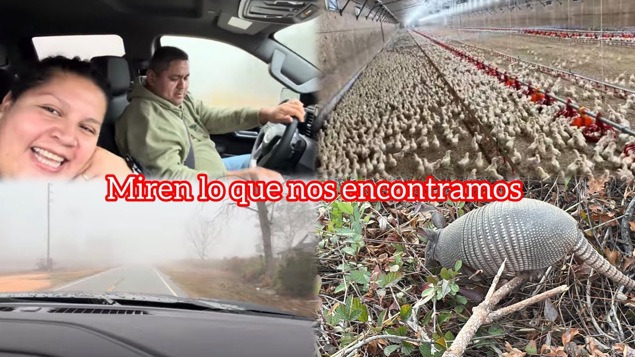 NUEVO TRABAJO ESTO ES LO QUE VAMOS HACER 🤔😱