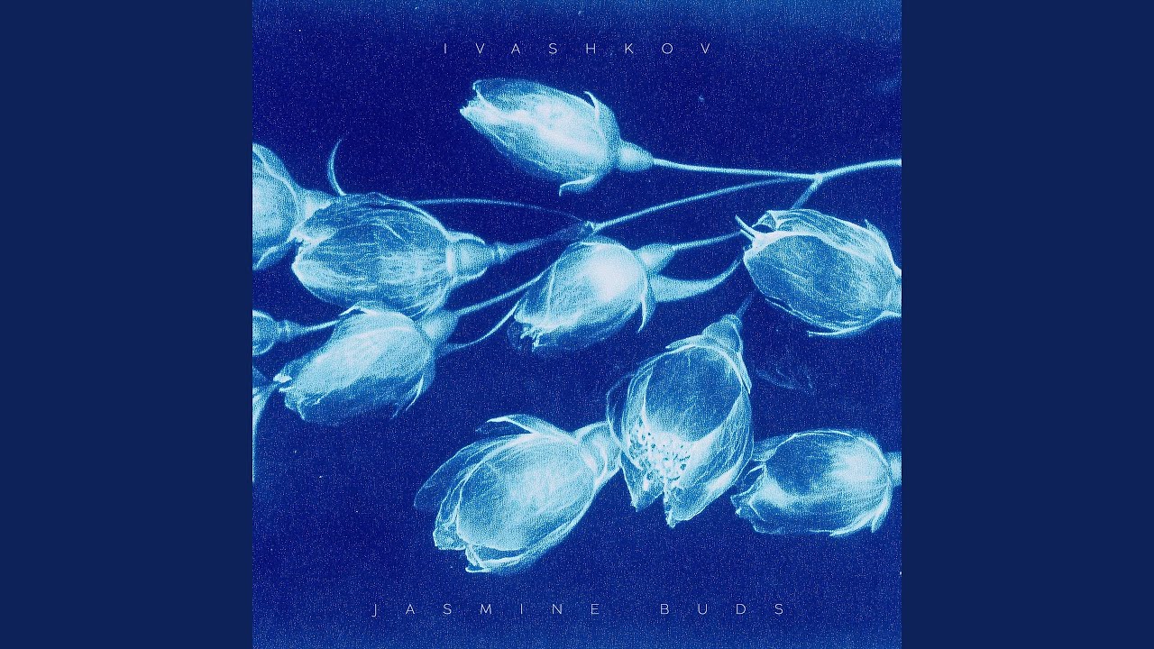 Jasmine Buds
