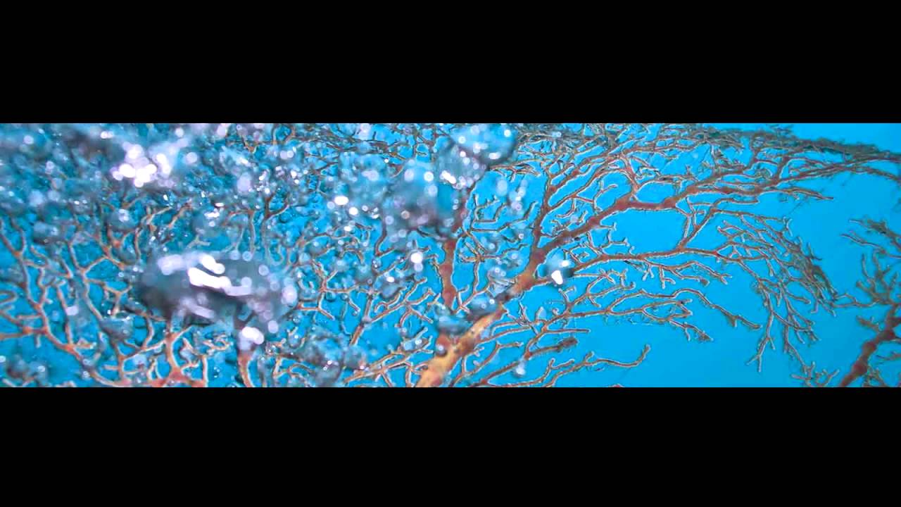 Endemic Void - Hydrosphere (Shogun Remix)