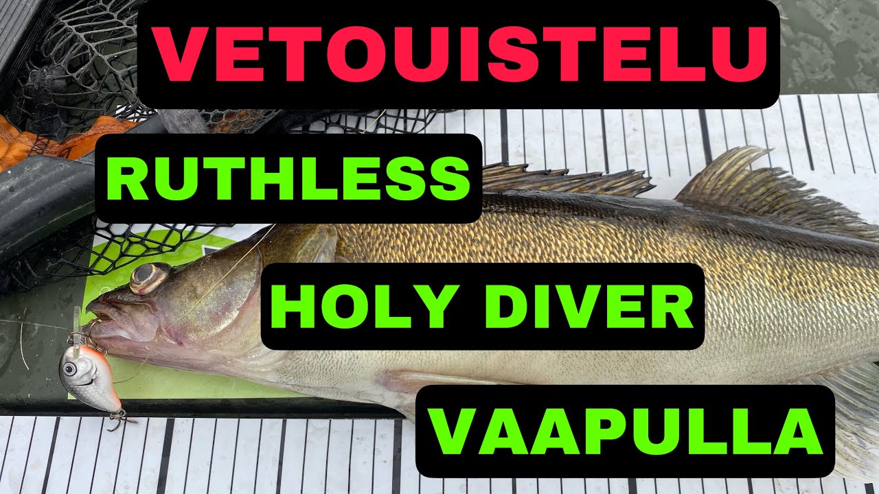 POTTUKOIRA KALASTAA 2022- JAKSO 2- VETOUISTELUA- RUTHLESS HOLY DIVER VAAPULLA