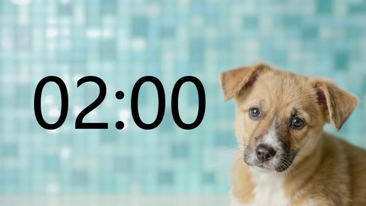 2 Minute Timer (GOOD PUPPY MUSIC + Sound Notification at Zero)